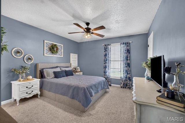 203 New Richmond Drive, Wentzville, MO 63385