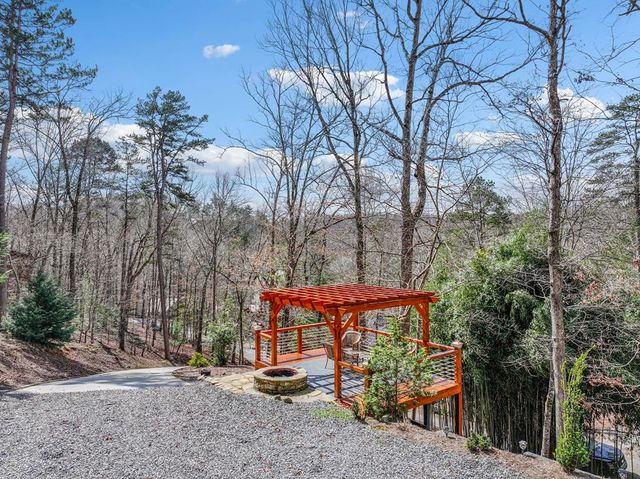 62 Cannon Court, Ellijay, GA 30540
