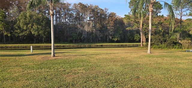 11231 SCENIC VIEW LANE, Orlando, FL 32821