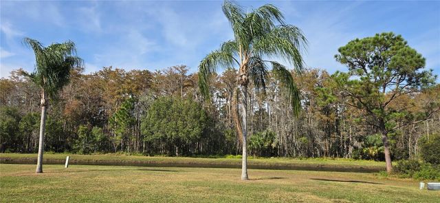 11231 SCENIC VIEW LANE, Orlando, FL 32821