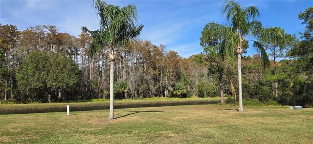 11231 SCENIC VIEW LANE, Orlando, FL 32821