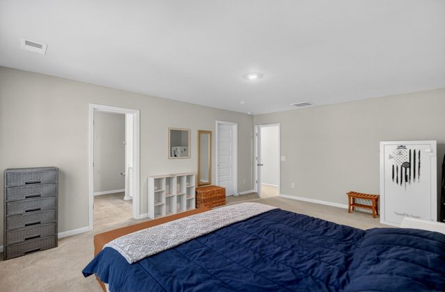 244 Red Bluff Street, Summerville, SC 29483