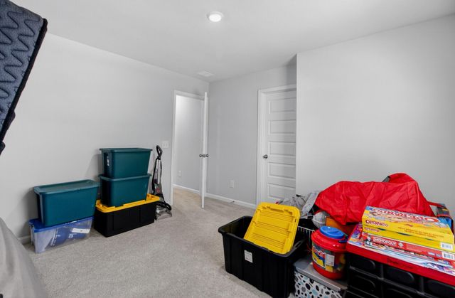 244 Red Bluff Street, Summerville, SC 29483