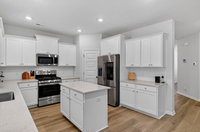 244 Red Bluff Street, Summerville, SC 29483