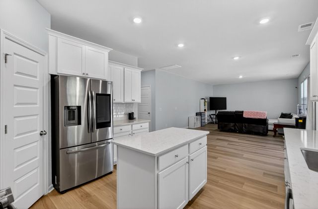 244 Red Bluff Street, Summerville, SC 29483