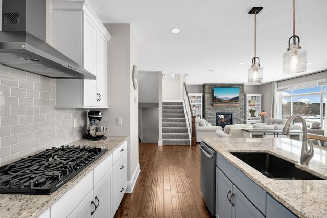 19869 Deerbrooke Path, Farmington, MN 55024