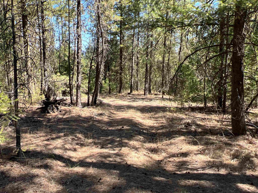 NKA Coyote Ridge Ln, Ford, WA 99013 photo 2