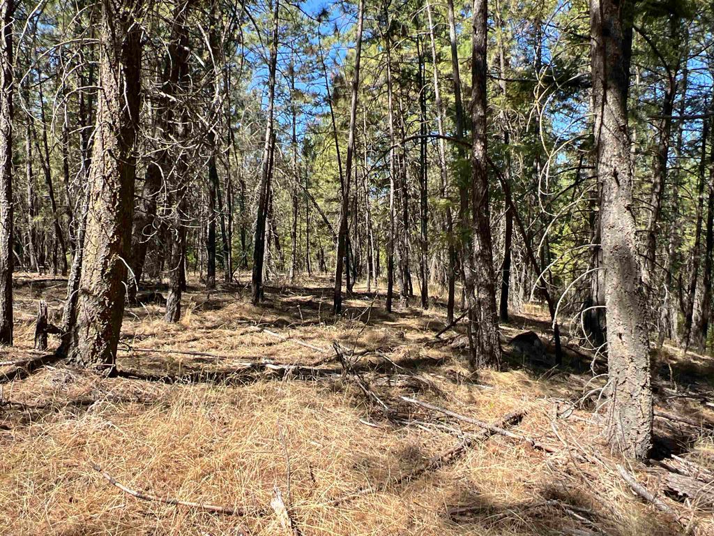 NKA Coyote Ridge Ln, Ford, WA 99013 photo 11