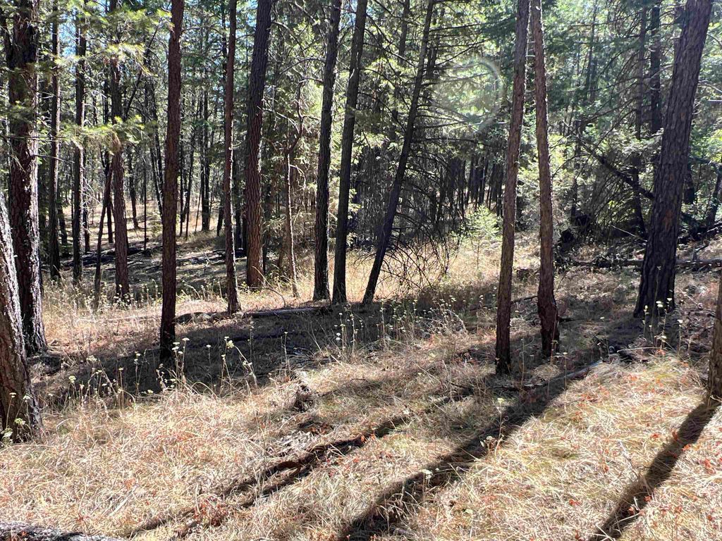 NKA Coyote Ridge Ln, Ford, WA 99013 photo 12