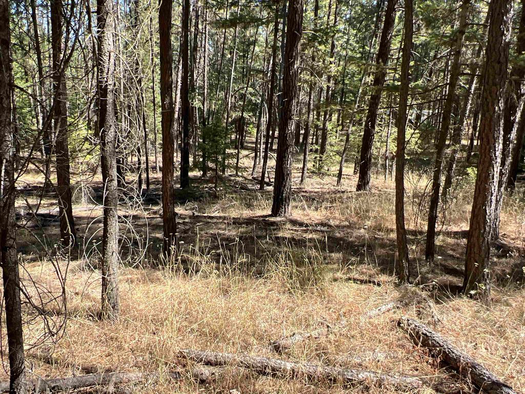 NKA Coyote Ridge Ln, Ford, WA 99013 photo 13