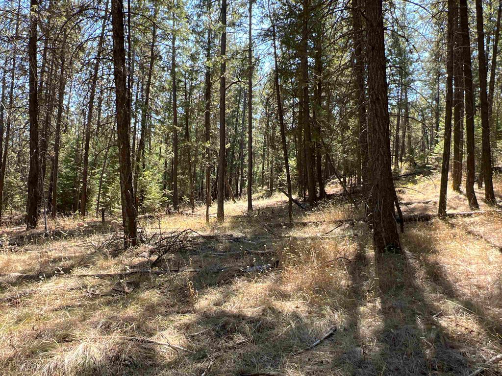 NKA Coyote Ridge Ln, Ford, WA 99013 photo 14