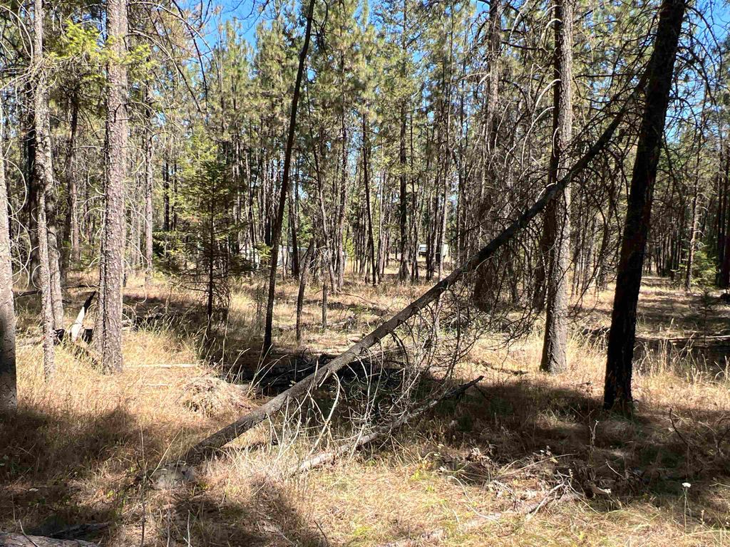 NKA Coyote Ridge Ln, Ford, WA 99013 photo 15