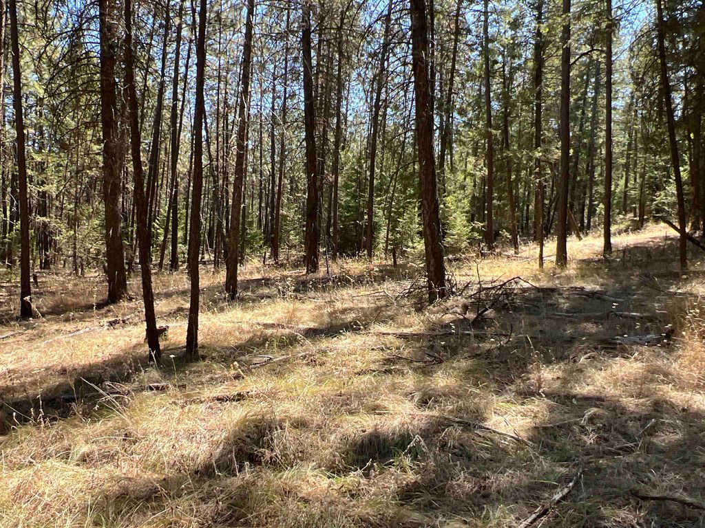 NKA Coyote Ridge Ln, Ford, WA 99013 photo 16