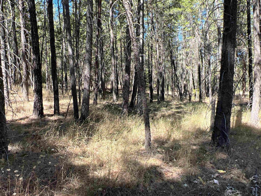 NKA Coyote Ridge Ln, Ford, WA 99013 photo 17