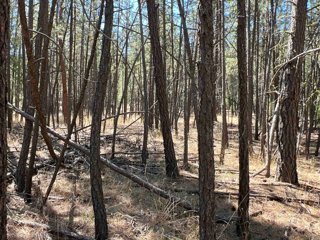 NKA Coyote Ridge Ln, Ford, WA 99013 photo 18