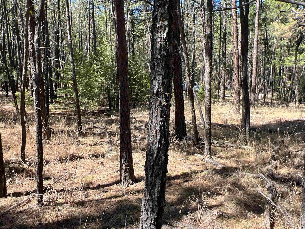 NKA Coyote Ridge Ln, Ford, WA 99013 photo 19