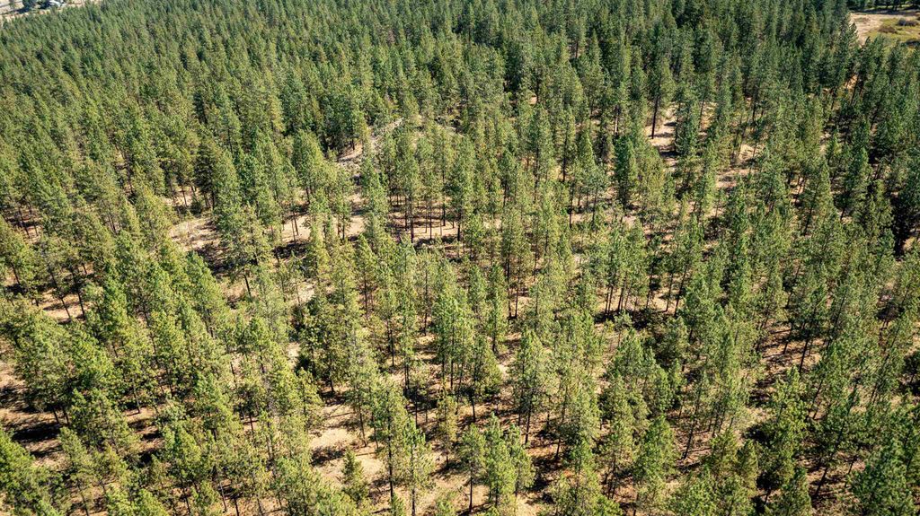 NKA Coyote Ridge Ln, Ford, WA 99013 photo 20