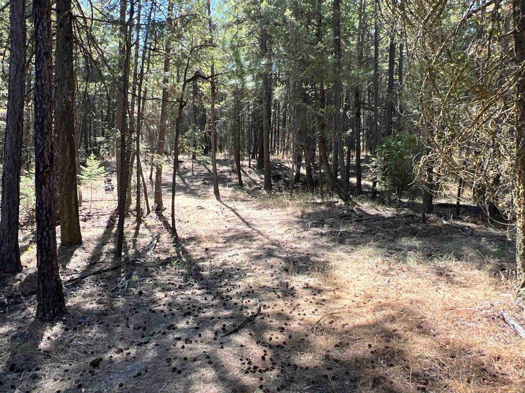 NKA Coyote Ridge Ln, Ford, WA 99013 photo 3