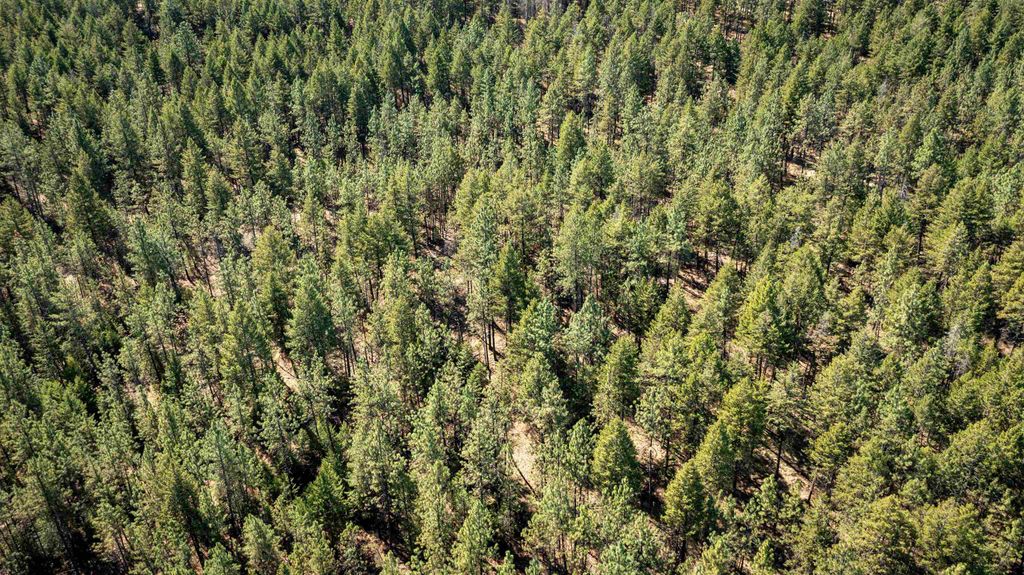 NKA Coyote Ridge Ln, Ford, WA 99013 photo 21