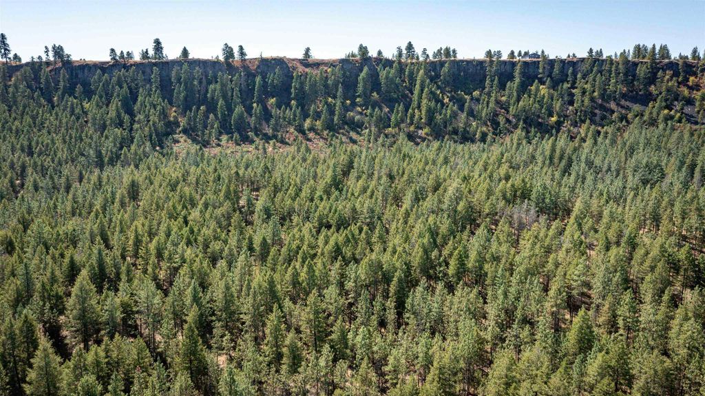 NKA Coyote Ridge Ln, Ford, WA 99013 photo 22