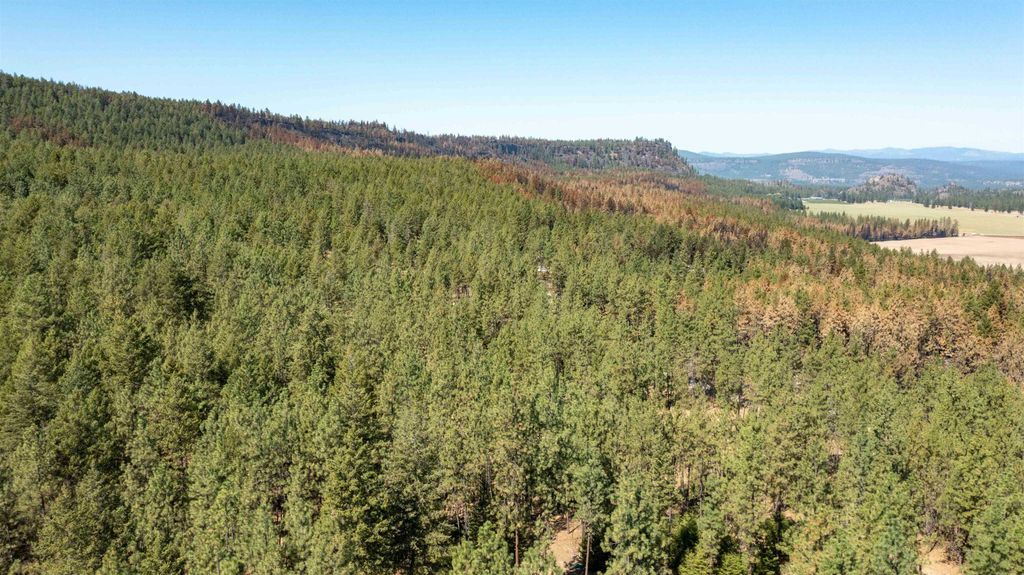 NKA Coyote Ridge Ln, Ford, WA 99013 photo 23