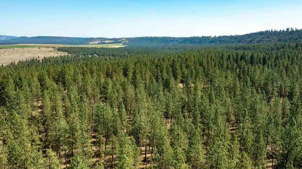 NKA Coyote Ridge Ln, Ford, WA 99013 photo 24