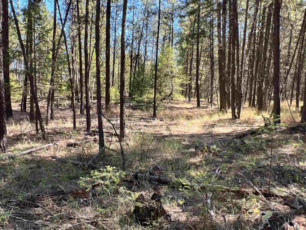 NKA Coyote Ridge Ln, Ford, WA 99013 photo 5