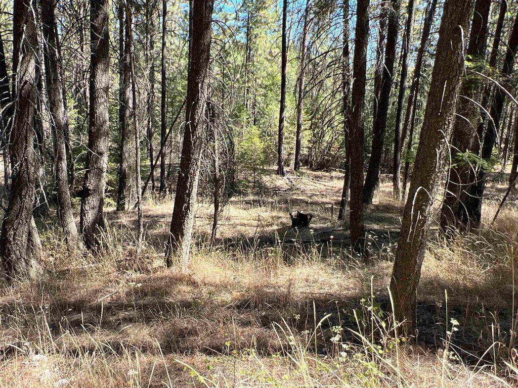 NKA Coyote Ridge Ln, Ford, WA 99013 photo 7