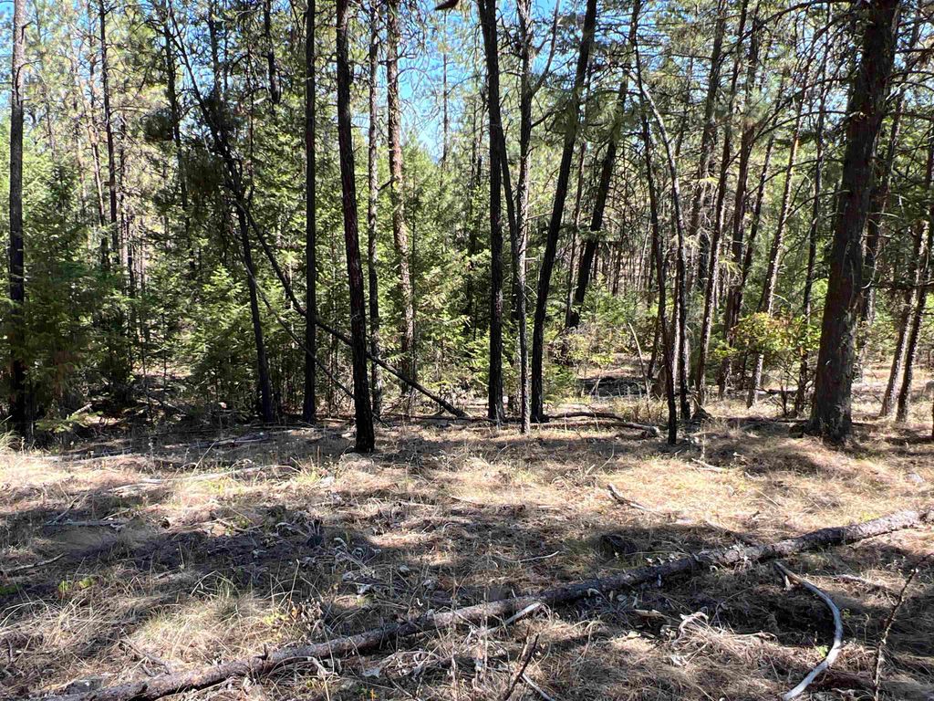 NKA Coyote Ridge Ln, Ford, WA 99013 photo 9