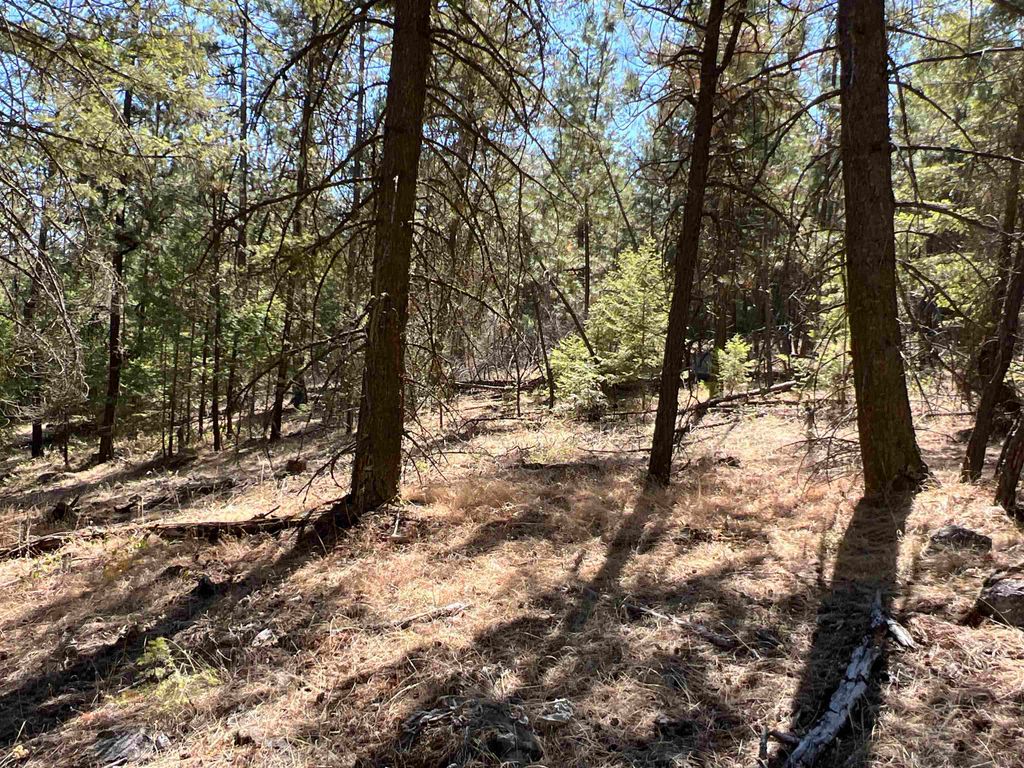 NKA Coyote Ridge Ln, Ford, WA 99013 photo 10