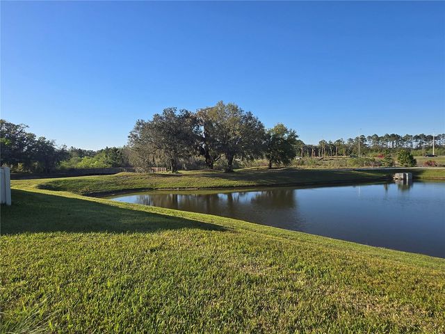 11495 JUNE BRIAR LOOP, San Antonio, FL 33576