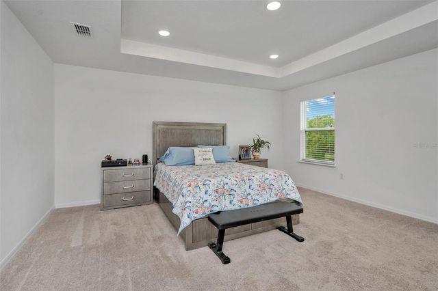 11495 JUNE BRIAR LOOP, San Antonio, FL 33576