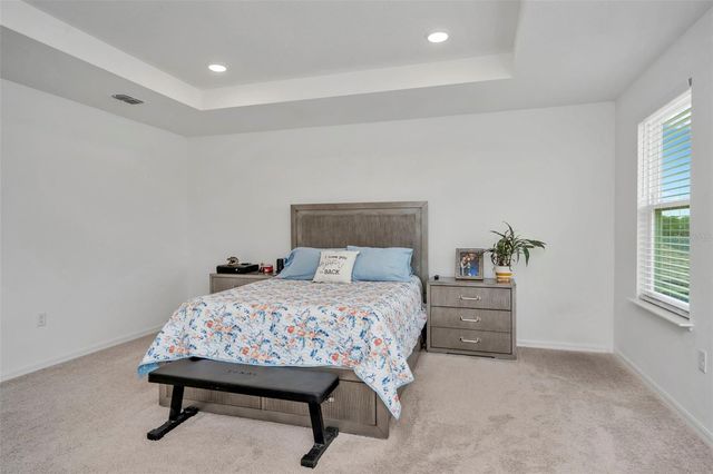 11495 JUNE BRIAR LOOP, San Antonio, FL 33576