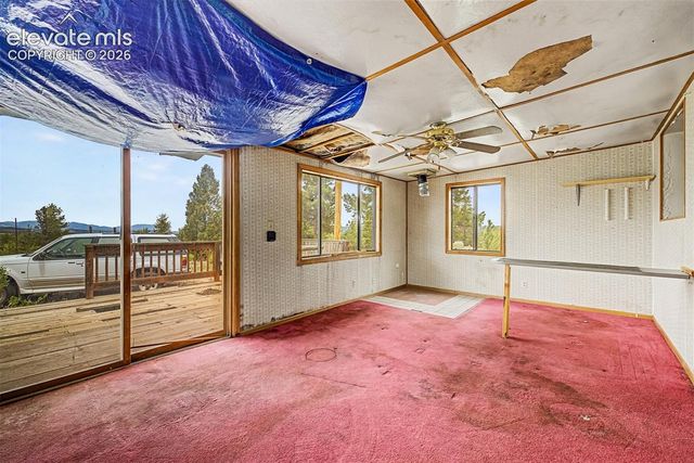 357 County Road 46, Florissant, CO 80816