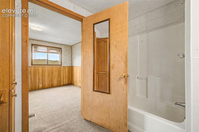 357 County Road 46, Florissant, CO 80816