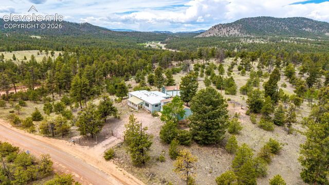 357 County Road 46, Florissant, CO 80816