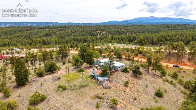 357 County Road 46, Florissant, CO 80816