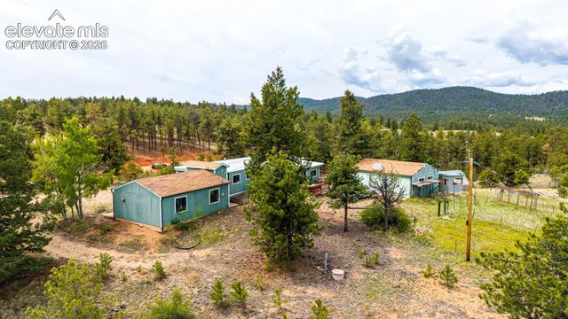 357 County Road 46, Florissant, CO 80816