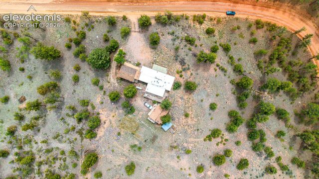 357 County Road 46, Florissant, CO 80816