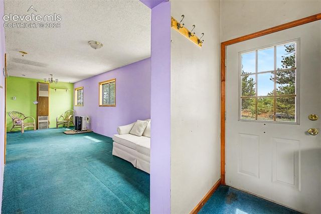 357 County Road 46, Florissant, CO 80816