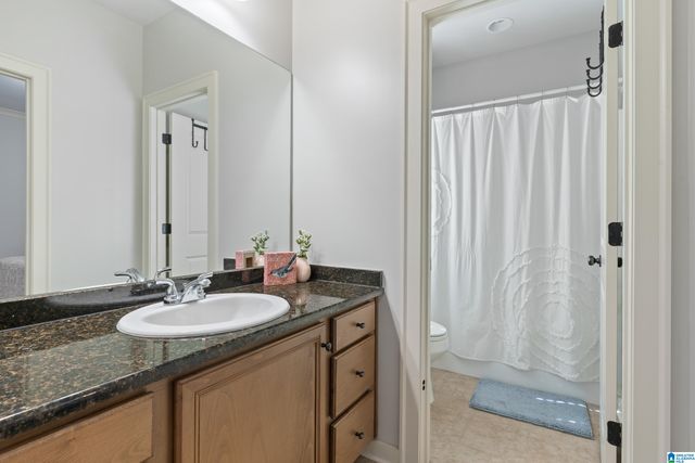 3745 JAMES HILL CIRCLE, Hoover, AL 35226