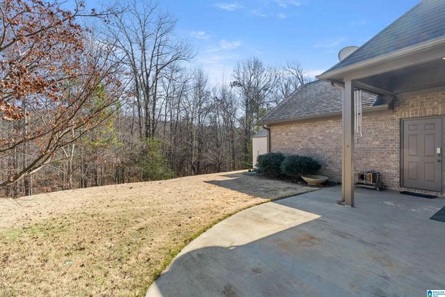 3745 JAMES HILL CIRCLE, Hoover, AL 35226