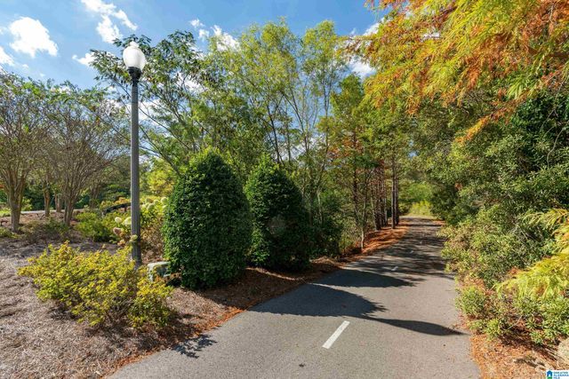 3745 JAMES HILL CIRCLE, Hoover, AL 35226