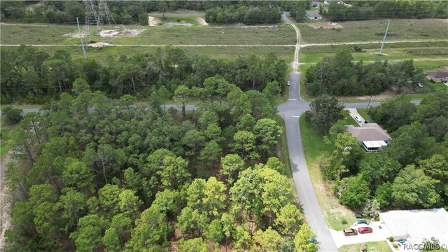 6951 N Tallwood Drive, Citrus Springs, FL 34434