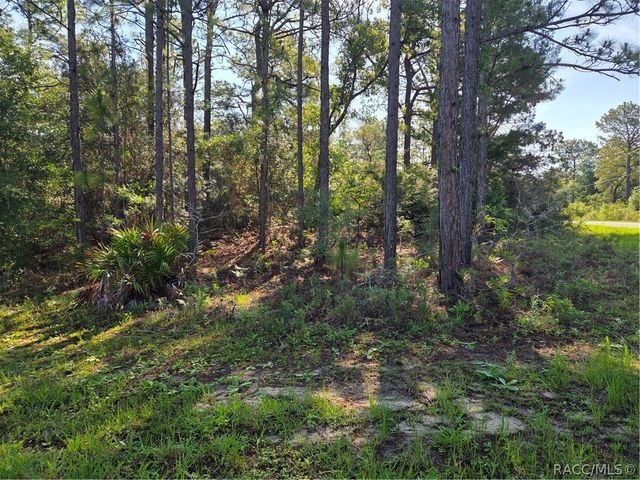 6951 N Tallwood Drive, Citrus Springs, FL 34434