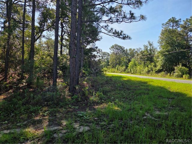 6951 N Tallwood Drive, Citrus Springs, FL 34434