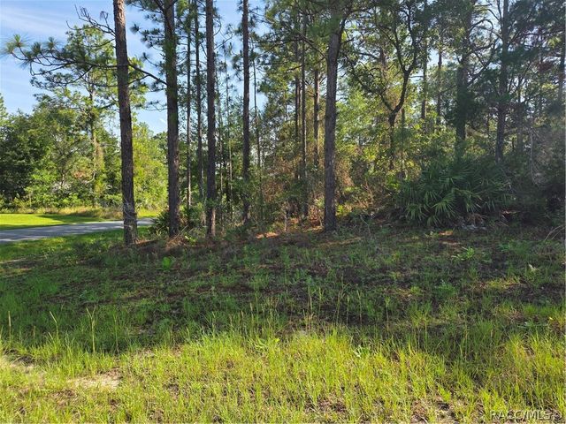 6951 N Tallwood Drive, Citrus Springs, FL 34434