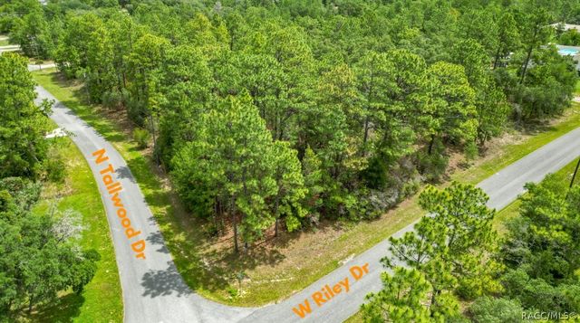 6951 N Tallwood Drive, Citrus Springs, FL 34434