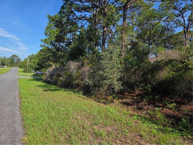 6951 N Tallwood Drive, Citrus Springs, FL 34434