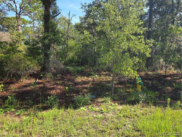 6951 N Tallwood Drive, Citrus Springs, FL 34434